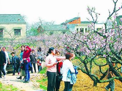 2007安徽马鞍山和谐城乡游启动 园艺桃花节开幕(图)--福客民俗网民俗资讯频道